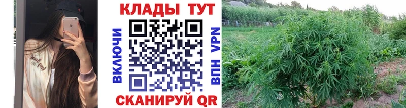 Как найти наркотики Болотное COCAIN  APVP  Мефедрон  ГАШ  АМФЕТАМИН  Каннабис 