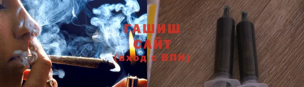 шишки Абаза