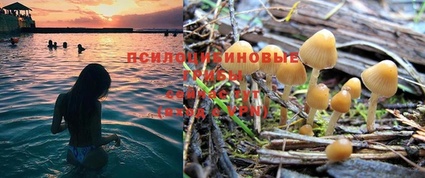 гашик Горно-Алтайск