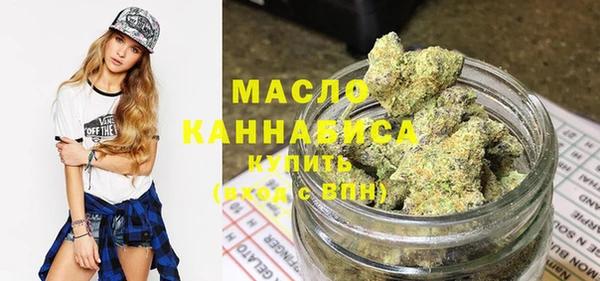 индика Абинск